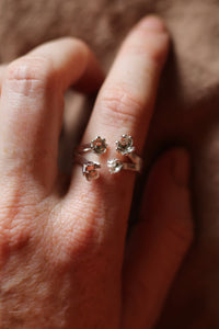 Flora Ring 1